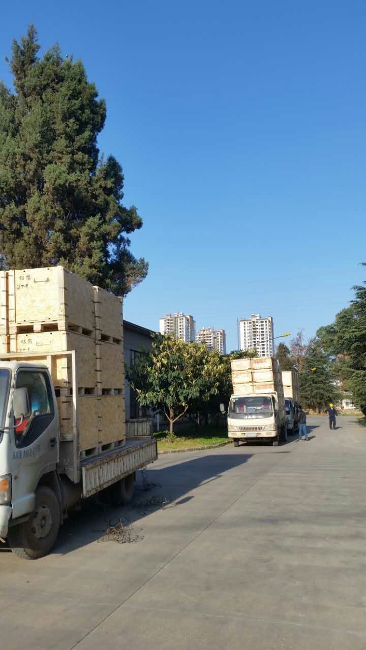 云南木托盤(pán)出廠要